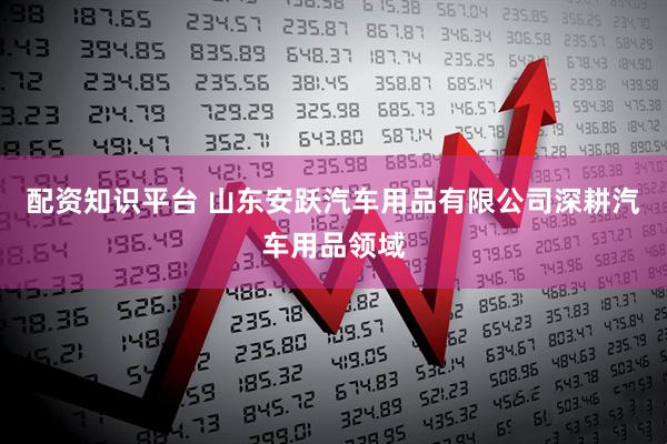 配资知识平台 山东安跃汽车用品有限公司深耕汽车用品领域